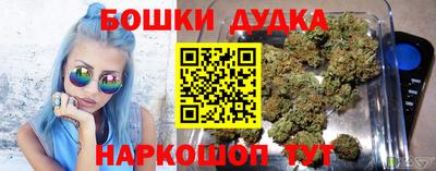 индика Нягань