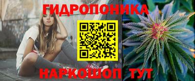 гидра Обнинск