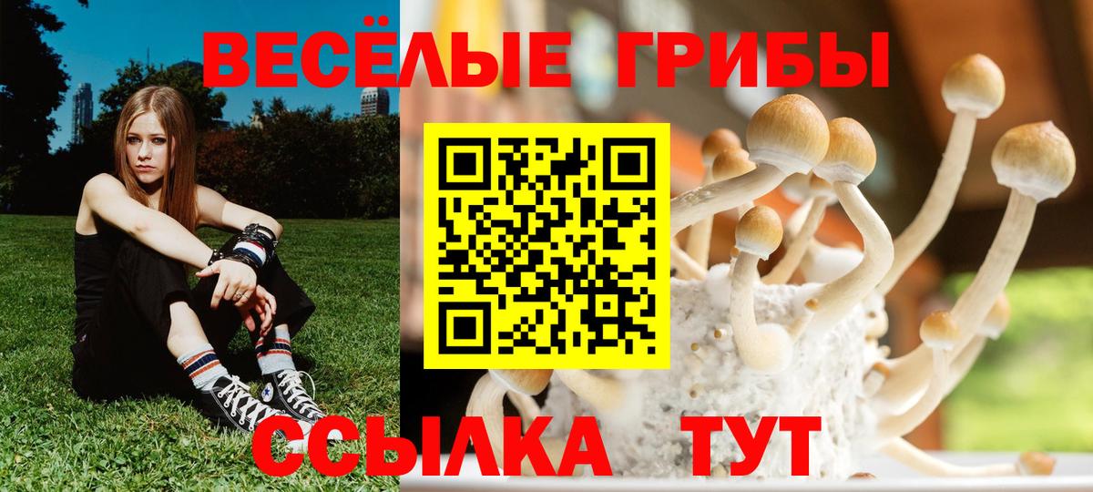 Псилоцибиновые грибы Magic Shrooms Сегежа